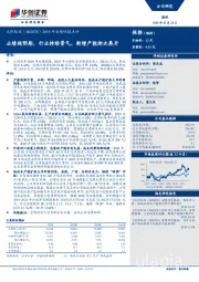 2019年业绩快报点评：业绩超预期，行业持续景气，新增产能渐次展开