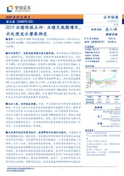 2019业绩快报点评：业绩兑现稳增长，水处理龙头整装待发