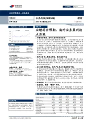 2019年业绩快报点评：业绩符合预期，海外业务盈利拐点显现