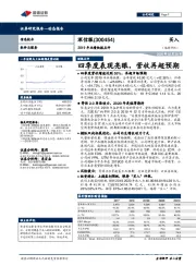 2019年业绩快报点评：四季度表现亮眼，营收再超预期