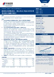 2019年业绩快报点评：检测龙头持续成长，重点关注19Q4扣非归母净利润大幅提升潜力