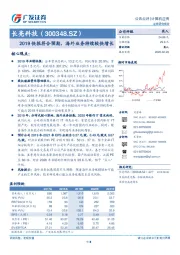 2019快报符合预期，海外业务持续较快增