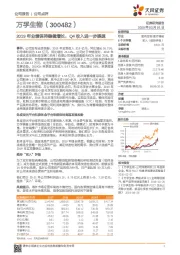 2019年业绩保持稳健增长，Q4收入进一步提速