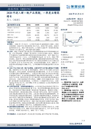 2020年进入新一轮产品周期，一季度业绩高增长