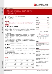 业绩快报点评：Q4单季度业绩创同期新高，2020年增长可期