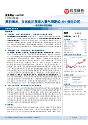 普洛药业深度报告:厚积薄发,多元化拓展进入景气周期的API领先公司