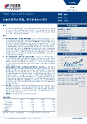 2019年业绩快报点评：业绩表现符合预期，新品拓展助力增长