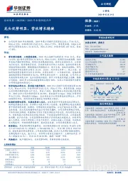 2019年业绩快报点评：龙头优势明显，营收增长稳健