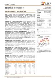 创新能力持续强化，新青啤的新未来
