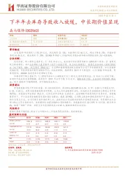 下半年去库存导致收入放缓，中长期价值显现