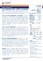 全年业绩增长符合预期，CDMO龙头优势持续