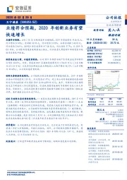 业绩符合预期,2020年创新业务有望快速增长