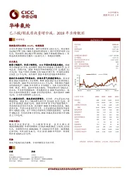 己二酸/鞋底原液量增价减，2019年业绩靓丽