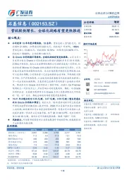营收较快增长，全球化战略有望更快推进