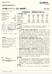 利润端承压，规模领先战略为先
