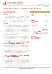 2019年规模扩张提速，经营深耕下沉保障未来成长空间