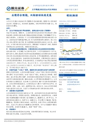 公司点评报告：业绩符合预期，双轮驱动快速发展