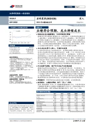 2019年业绩快报点评：业绩符合预期，龙头持续成长