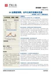 业绩快报点评：Q4业绩超预期，全年北美市场增长迅速