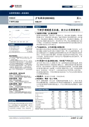 财报点评:下游多领域需求共振,助力公司持续增长