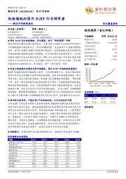 快速崛起的国内IGBT领军者