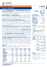 2019年业绩符合预期，定增加码新能源车材料业务