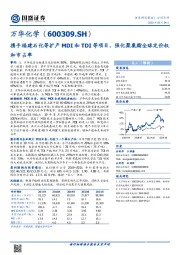 携手福建石化等扩产MDI和TDI等项目，强化聚氨酯全球定价权
