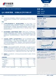 2019年业绩快报点评：Q4业绩超预期，长期成长空间不断打开