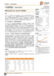 特钢龙头诞生元年 核心资产完美启程