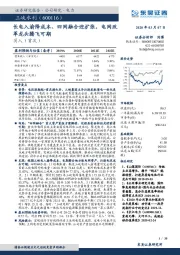 长电入渝降成本、四网融合迎扩张，电网改革龙头腾飞可期