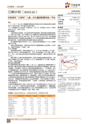 积极推动“三峡电”入渝，作为集团配售电唯一平台