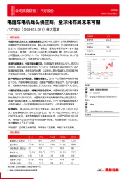 首次覆盖：电踏车电机龙头供应商，全球化布局未来可期