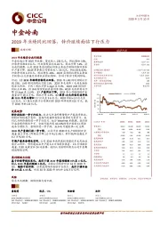 2019年业绩同比回落，锌价继续面临下行压力