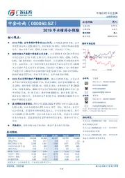 2019年业绩符合预期