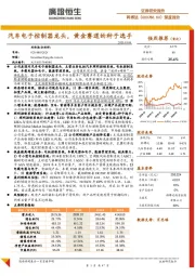 深度报告：汽车电子控制器龙头，黄金赛道的种子选手