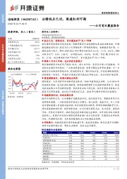 公司首次覆盖报告：业绩低点已过，渠道红利可期