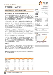 新安全领军企业,收入有望持续高增长