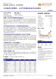 与采埃孚合资确定，公司汽车驱动电机开启全球化