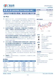 2019年业绩符合预期，综合实力提升可期