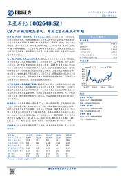 C3产业链延续高景气，布局C2未来成长可期