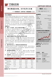 深度报告(上):雄关漫道真如铁,而今迈步从头越