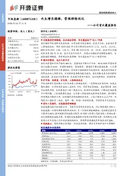 公司首次覆盖报告：内生增长稳健，管理持续优化