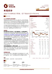 2019年业绩略低于预期；资产重组仍是今年重头戏