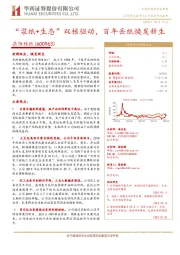 “浆纸+生态”双核驱动,百年岳纸焕发新生