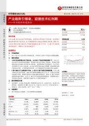 中环股份深度报告：产业趋势引领者，迎接技术红利期