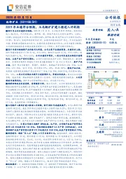 2019年业绩符合预期，玉龙铜矿扩建工程进入冲刺期