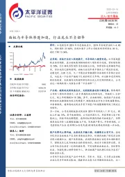 面板与半导体渗透加速，行业龙头不负韶华