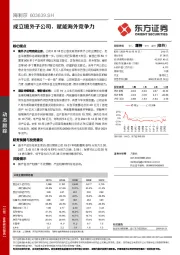 成立境外子公司，赋能海外竞争力