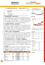 深度报告：多年深耕渠道收获全球，领跑异质结与210