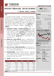 点评报告：铅锌价格下滑影响业绩，海外项目有望增利